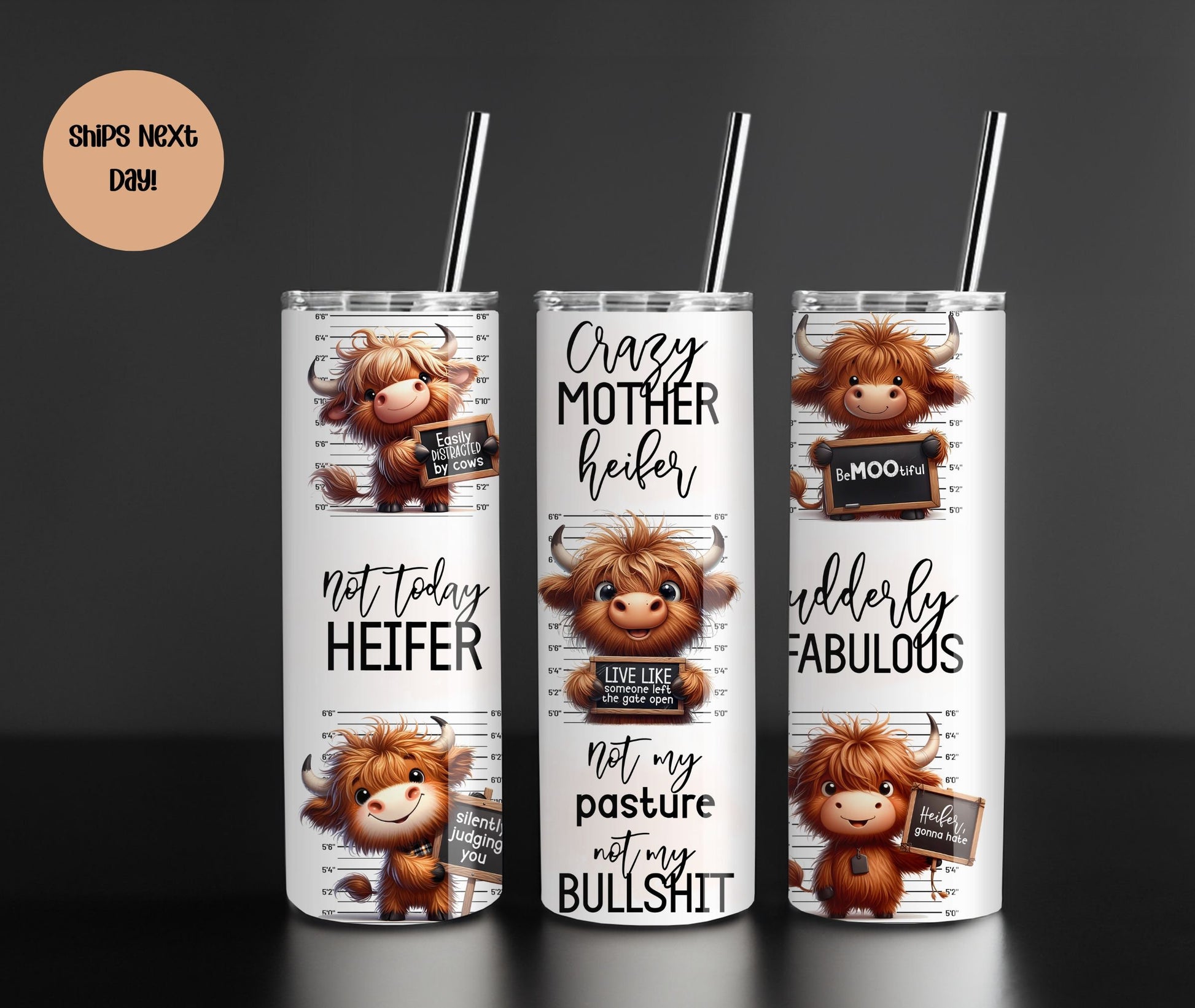 Funny Highland Cow Sayings! Not My Pasture Not My Bullshit Tumbler | Not Today Heifer Cup | Gift for Farmer | Cow Skinny Tumbler