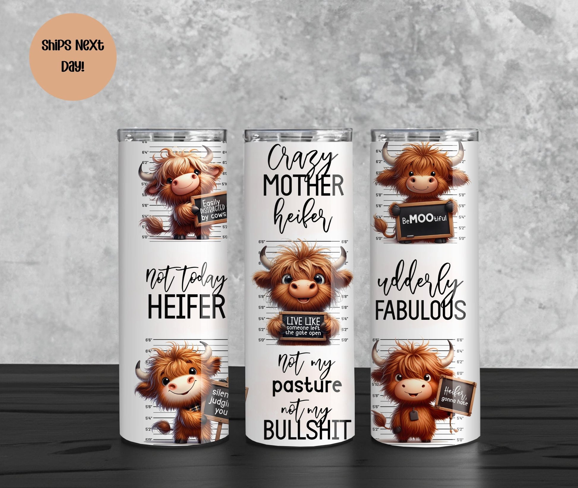 Funny Highland Cow Sayings! Not My Pasture Not My Bullshit Tumbler | Not Today Heifer Cup | Gift for Farmer | Cow Skinny Tumbler