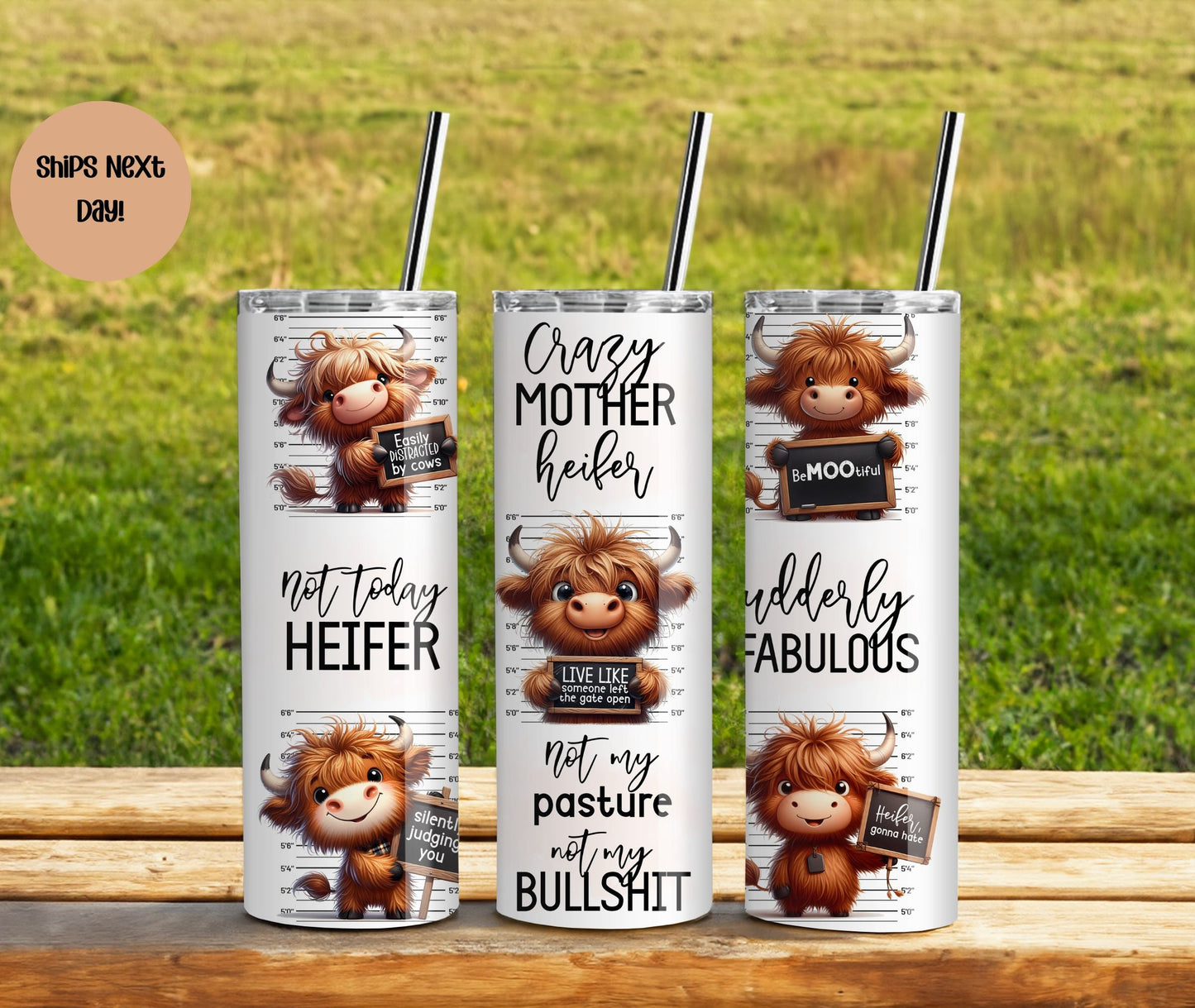 Funny Highland Cow Sayings! Not My Pasture Not My Bullshit Tumbler | Not Today Heifer Cup | Gift for Farmer | Cow Skinny Tumbler