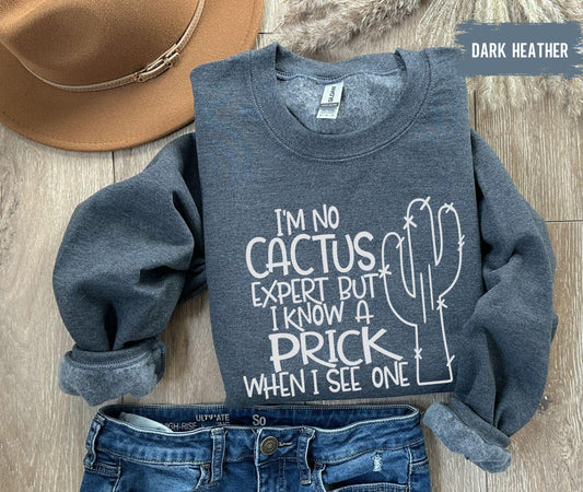 Cactus Prick Shirt , Funny Graphic Tee, Basic Tee, Unisex, Women's Tee, I'm No Cactus Expert But I Know A Prick When I See One