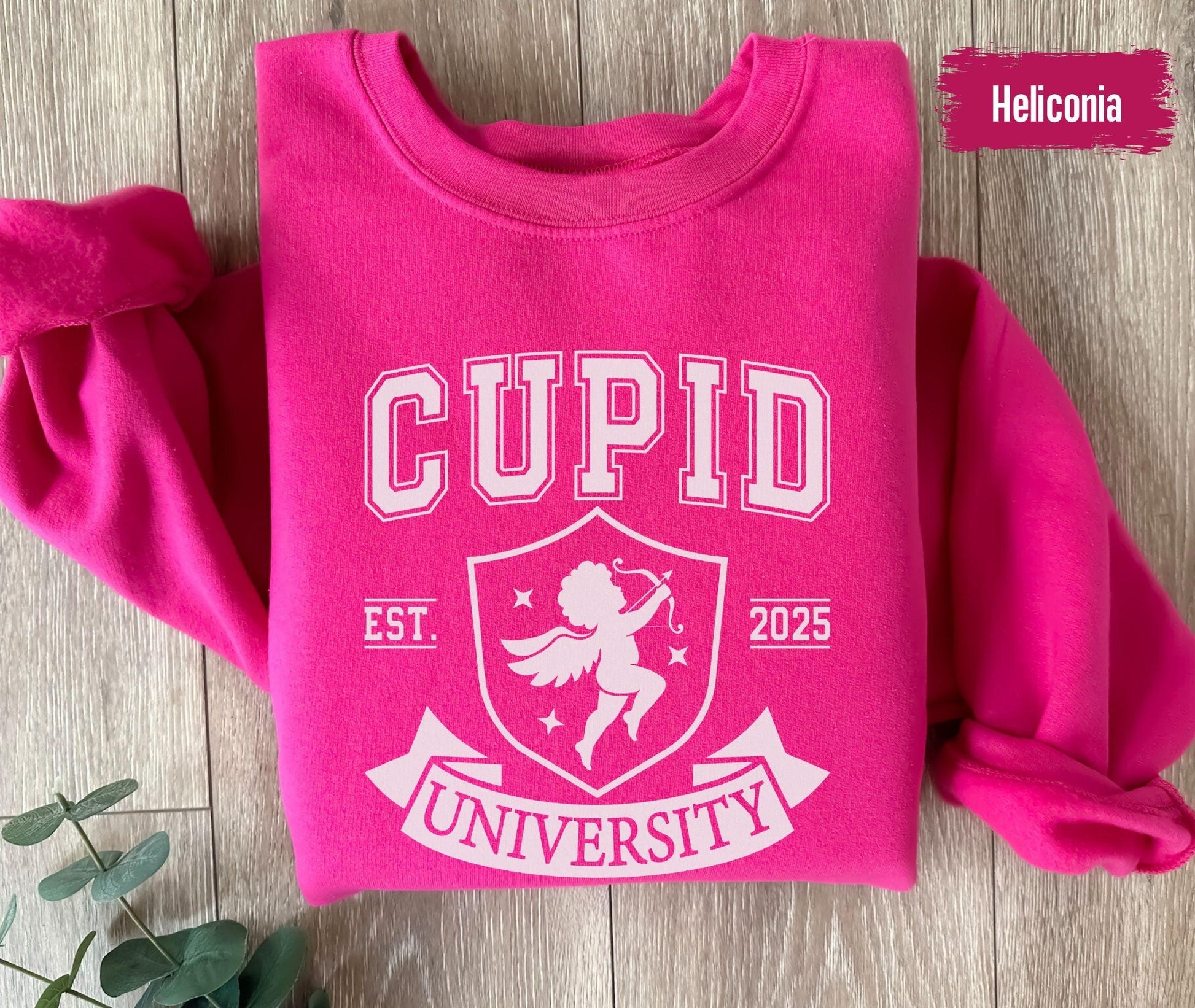 Cupid University Sweatshirt, Cute Valentine's Day Shirt, Funny College Sweatshirt, Love Crewneck Sweatshirt, Cupid Sweater